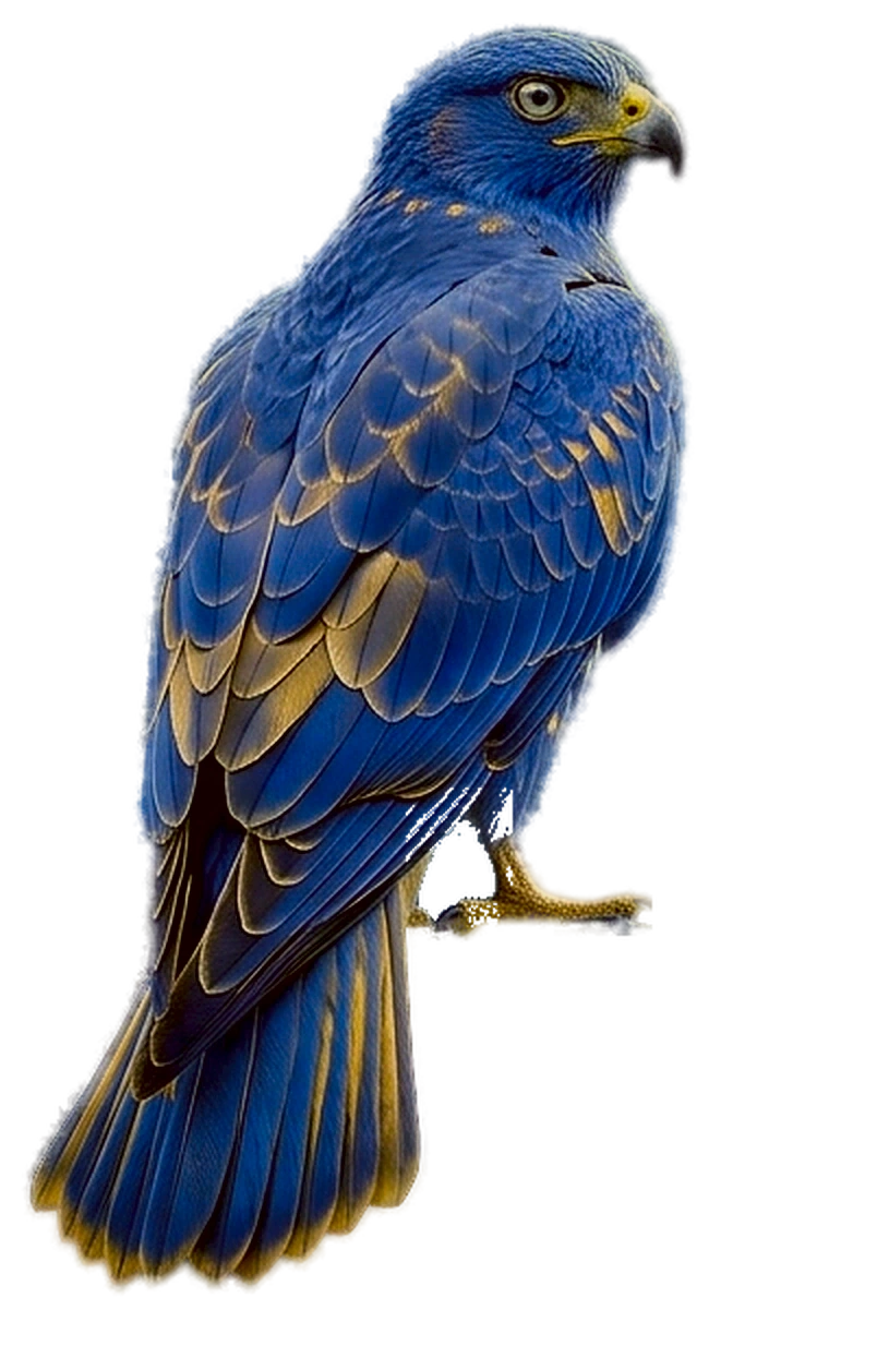 The Blue Bird Solutions bird, perched